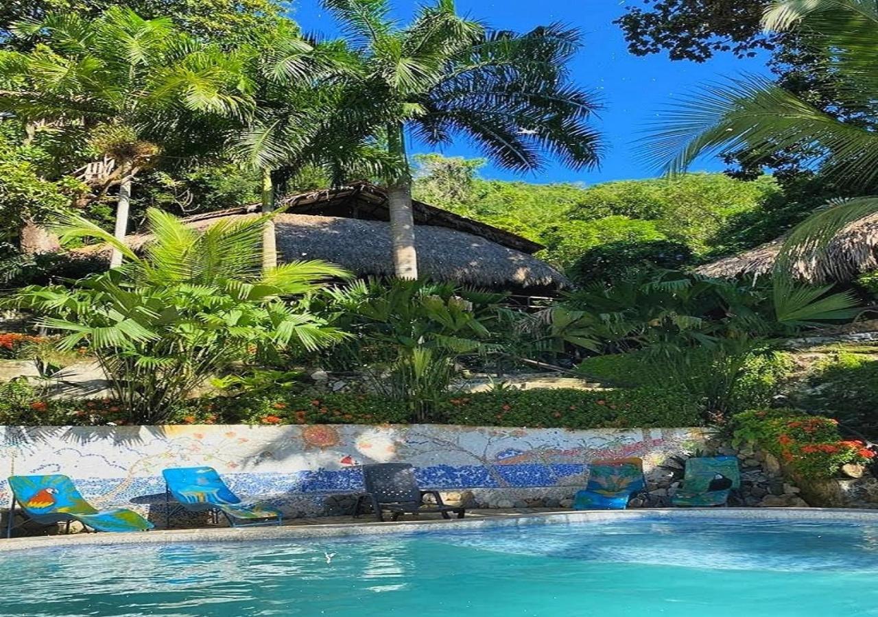 Monte Verde Hostal エル・ザイノ エクステリア 写真