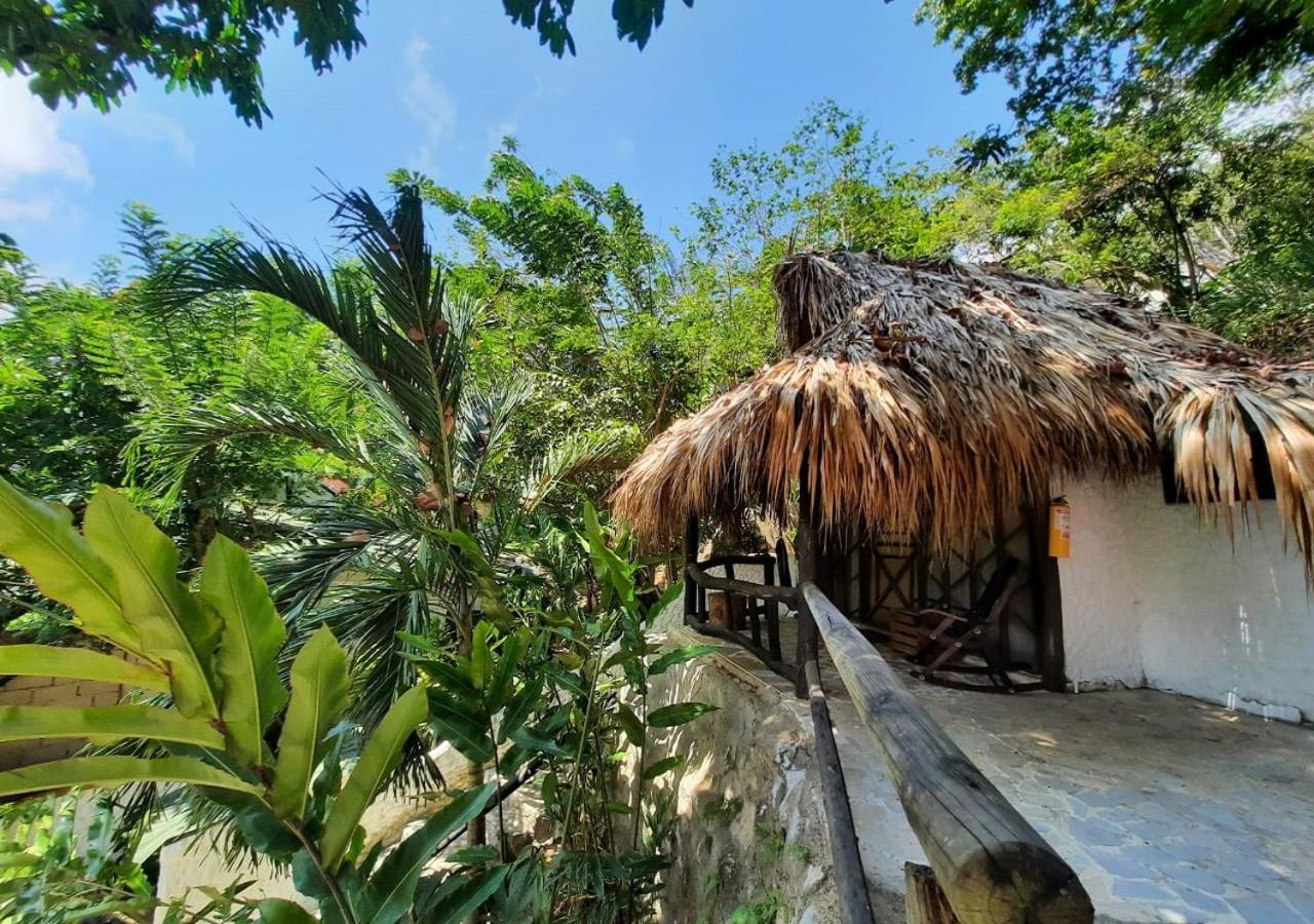 Monte Verde Hostal エル・ザイノ エクステリア 写真