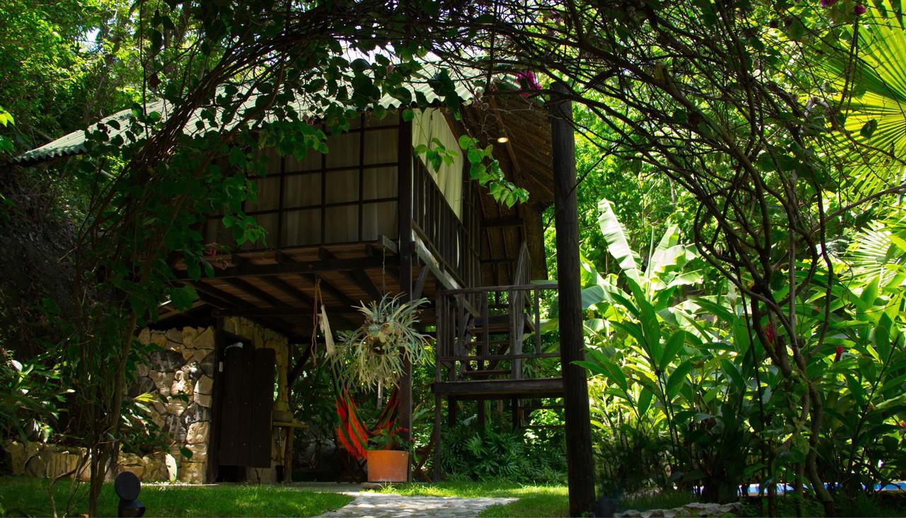 Monte Verde Hostal エル・ザイノ エクステリア 写真